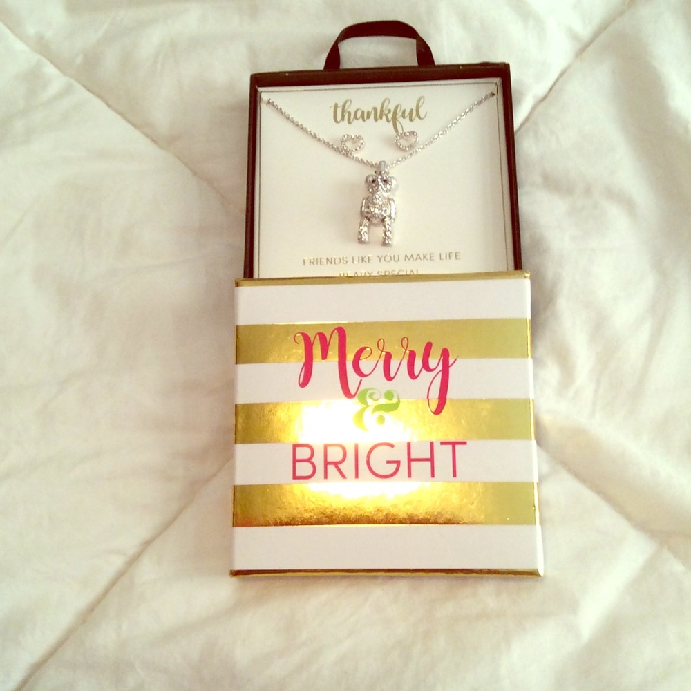 NEW IN THE BOX silver earrings and necklace set